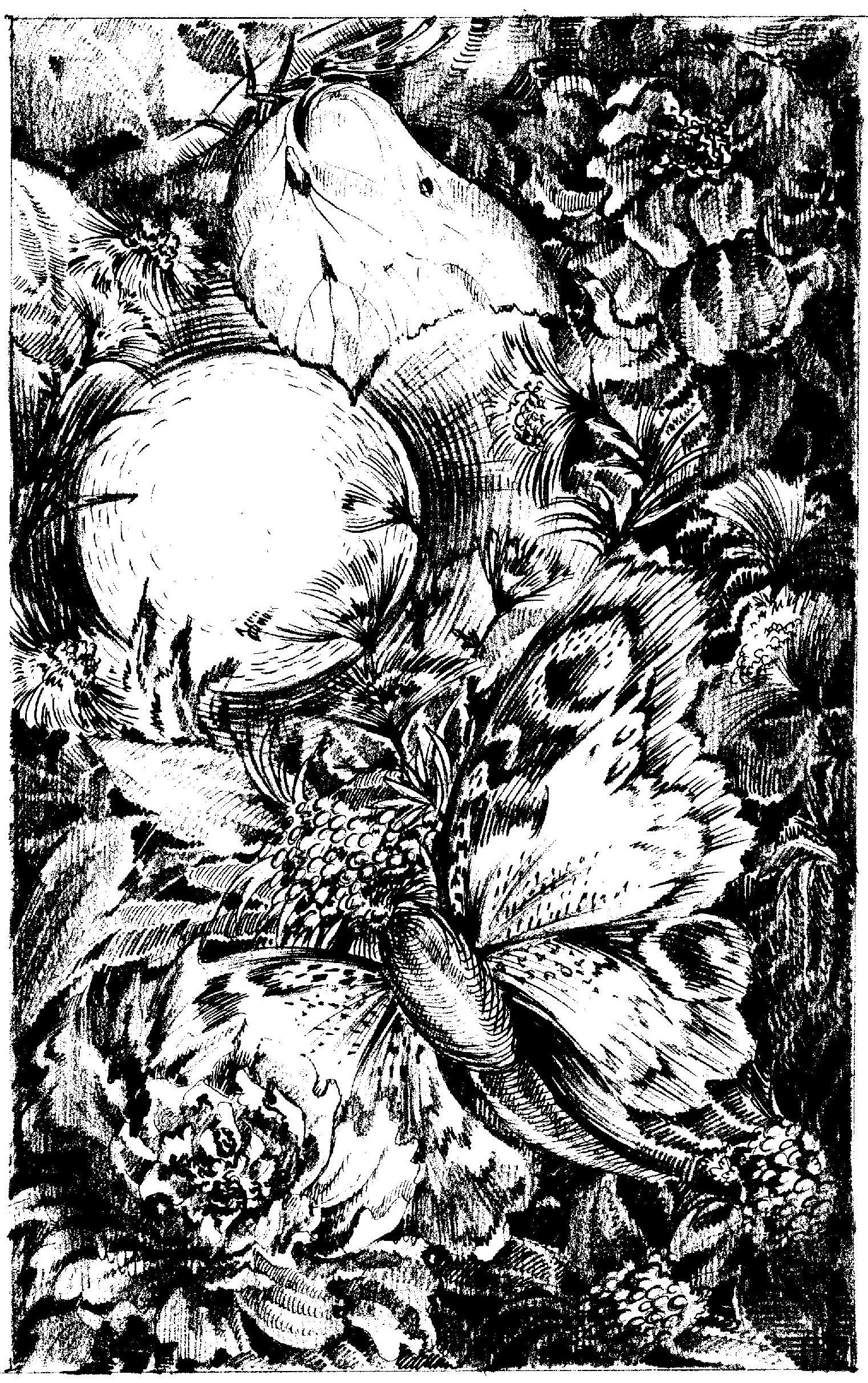 F3d9d87e f09e 4b29 9533 80f28735c48b