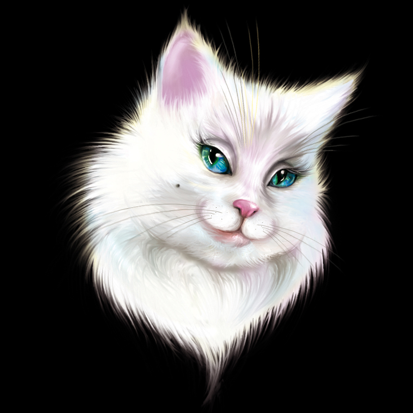 %d0%9a%d0%94 %d0%ba%d0%be%d1%88%d0%ba%d0%b0