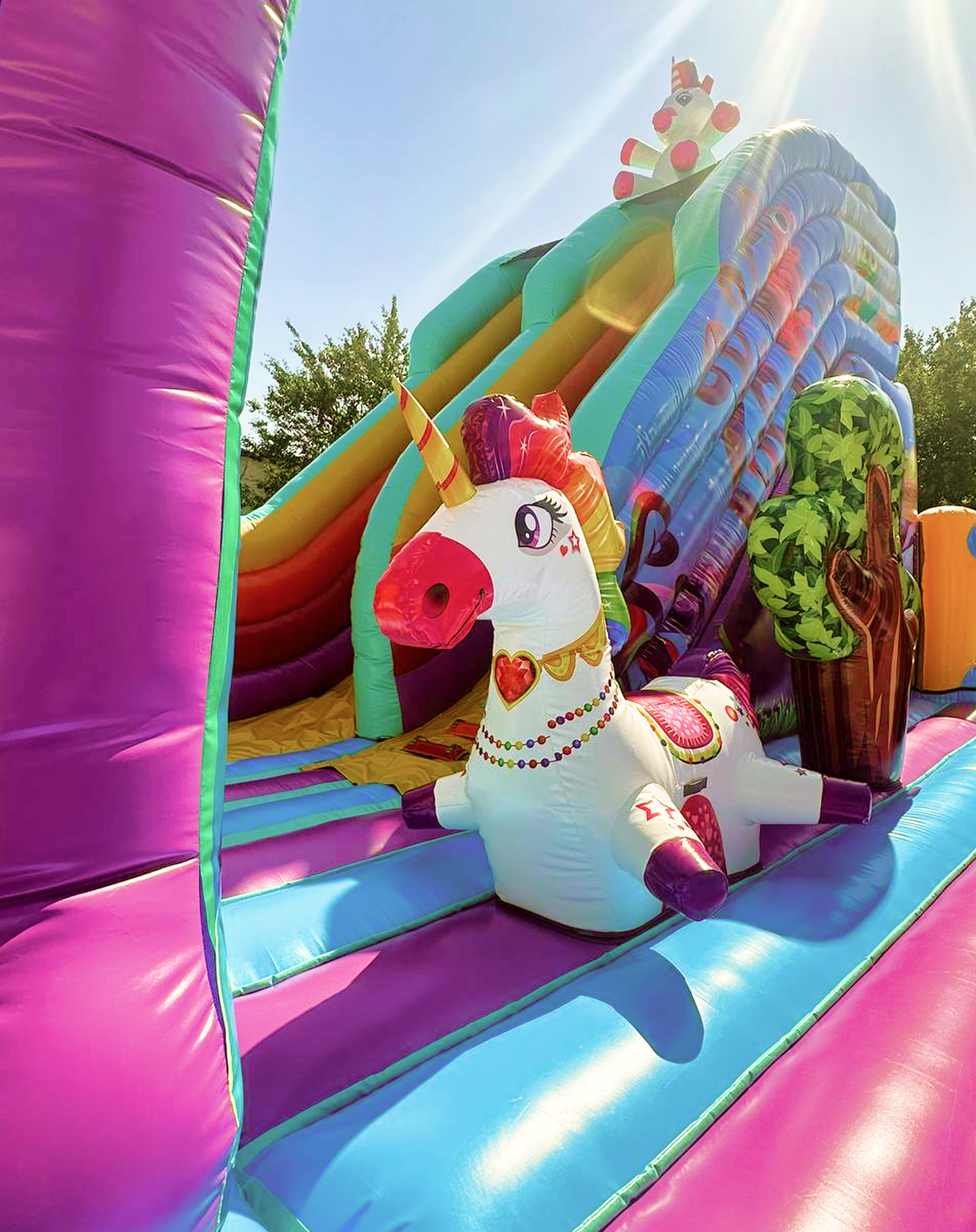 Photo 2025 08 13 17 18 40 1  1 