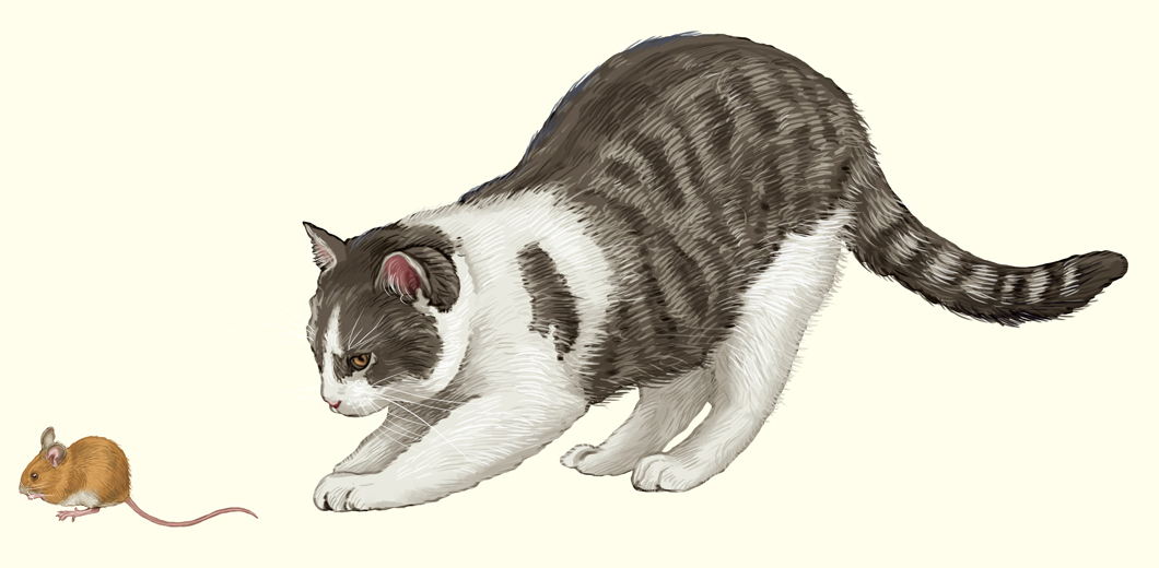 30 %d0%9b%d0%b0%d1%80%d1%80%d0%b8