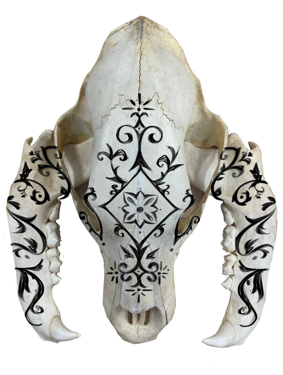 Photo 2025 09 08 16 41 32