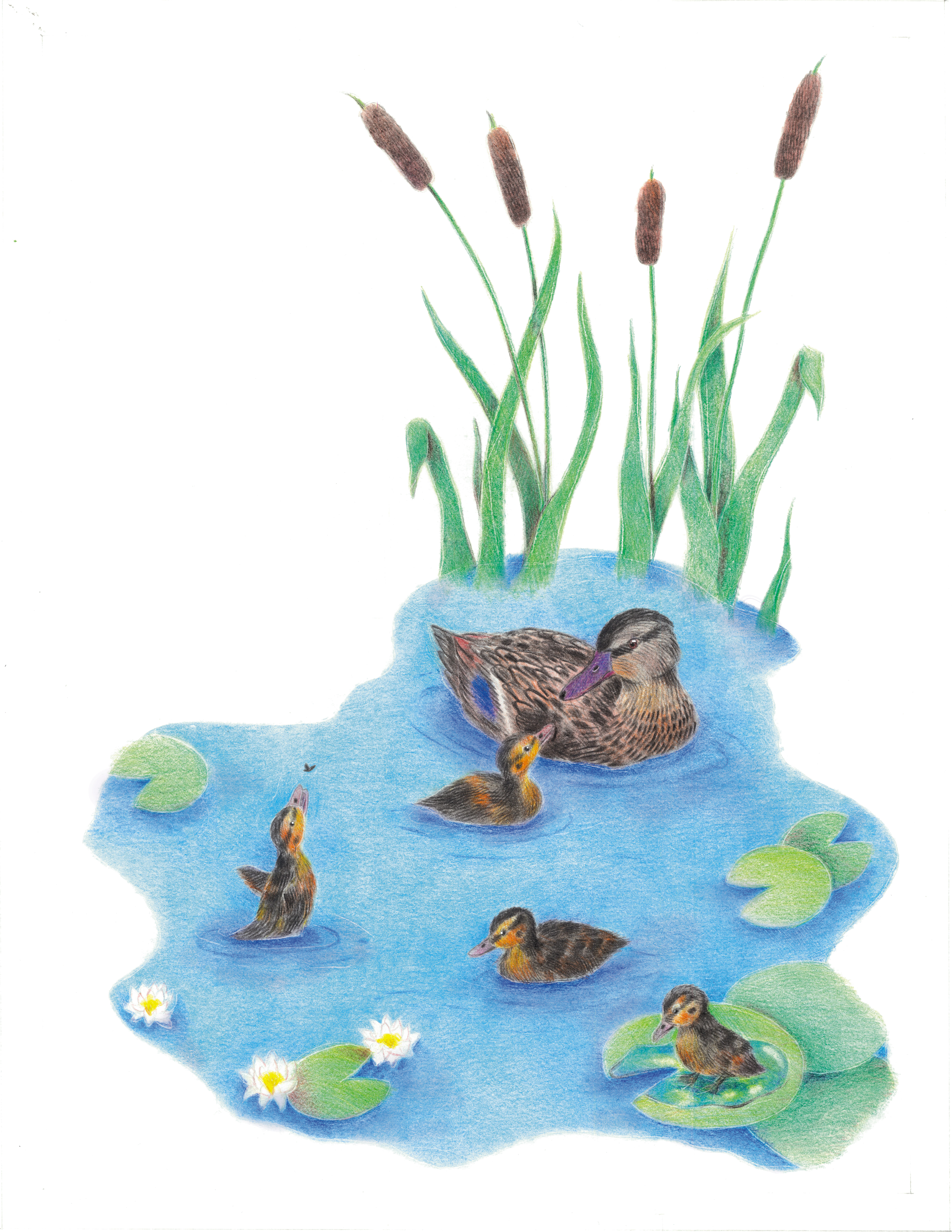 %d0%91%d0%b0%d1%80%d1%82%d0%be %d0%b8%d0%bb%d0%bb%d1%8e%d1%81%d1%82%d1%80%d0%b0%d1%82%d0%be%d1%80%d1%81