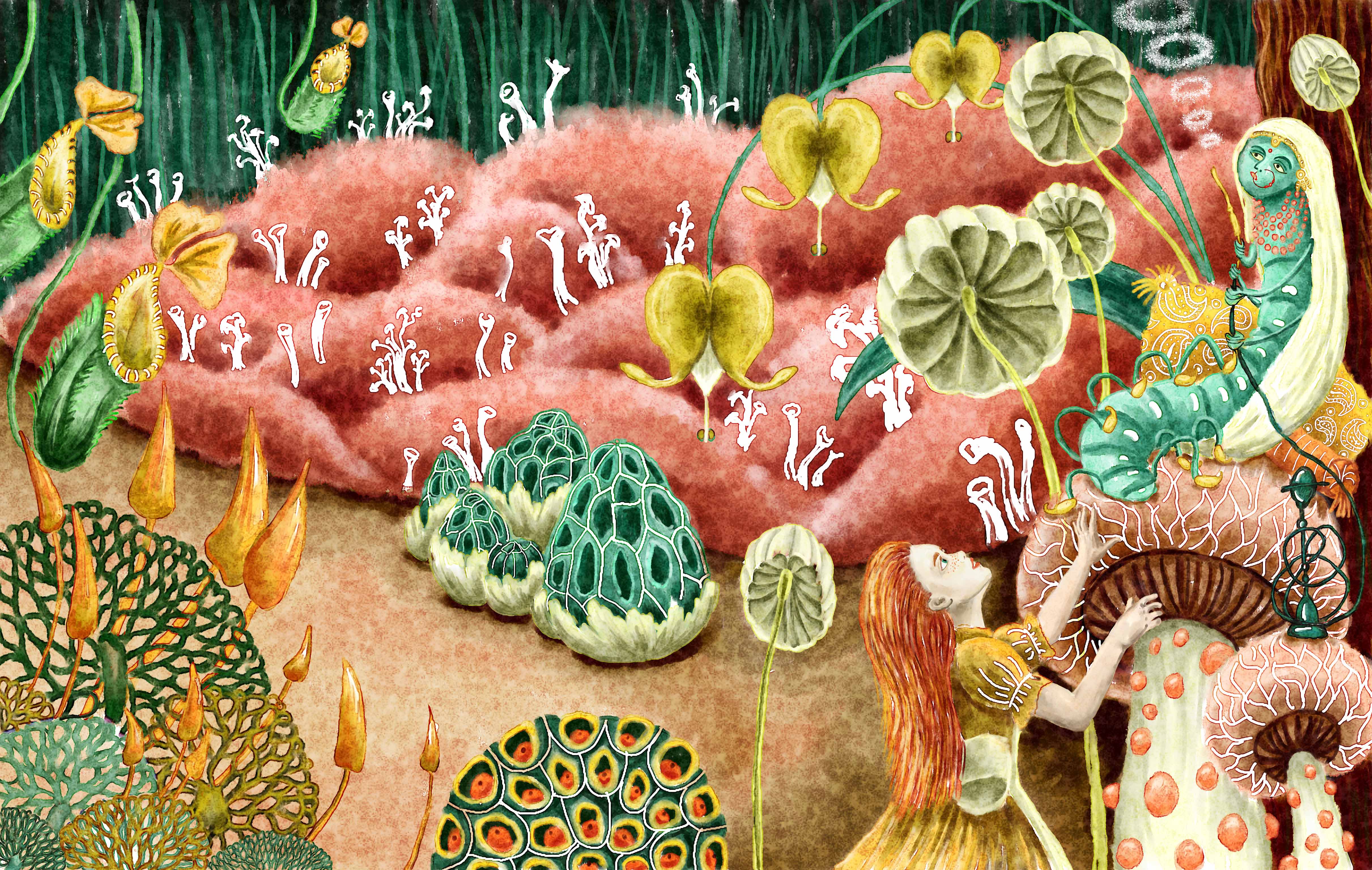 Alice in wonderland 2