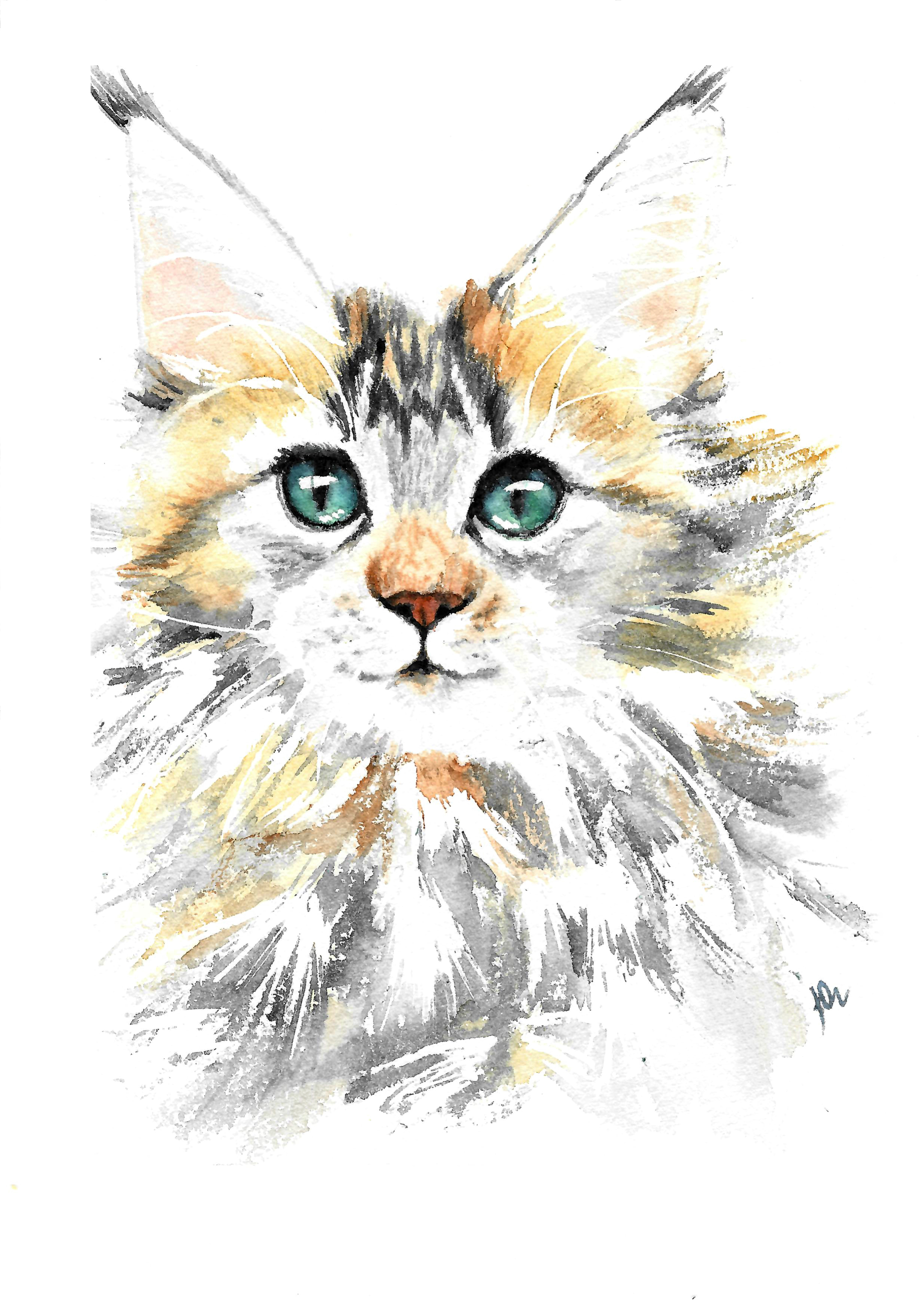 %d0%ba%d0%be%d1%82%d0%b0%d0%ba%d0%b2%d0%b0