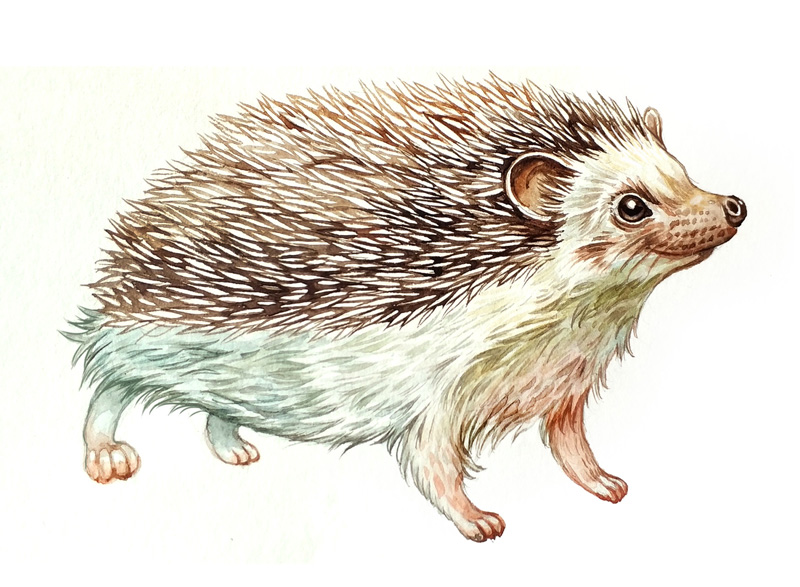 %d0%b5%d0%b6%d0%b8%d0%ba   22