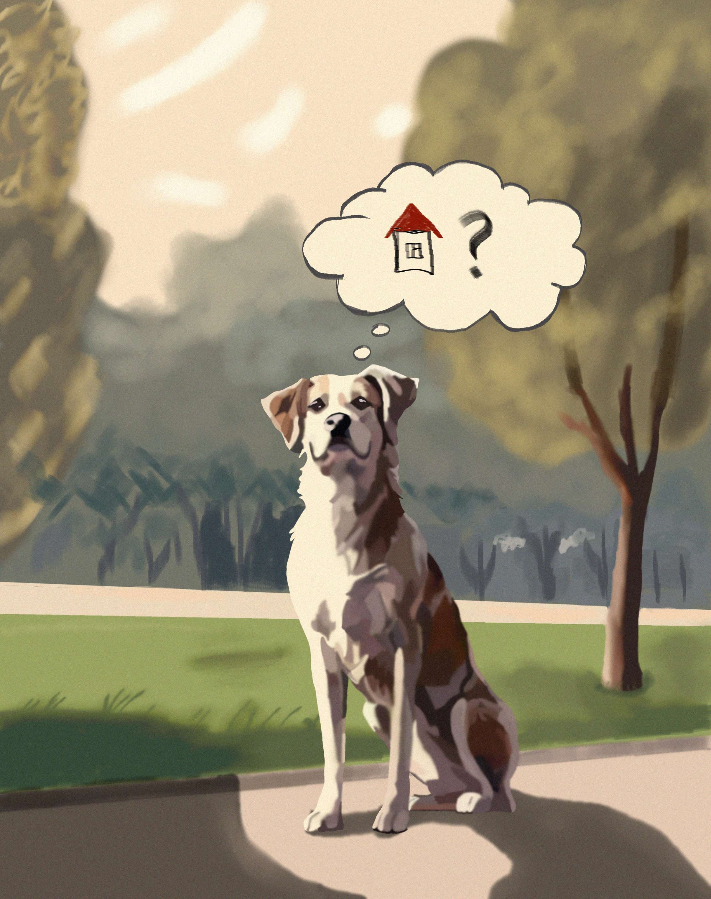 %d0%bf%d0%b5%d1%81%d0%b5%d0%bb%d1%8c  1 