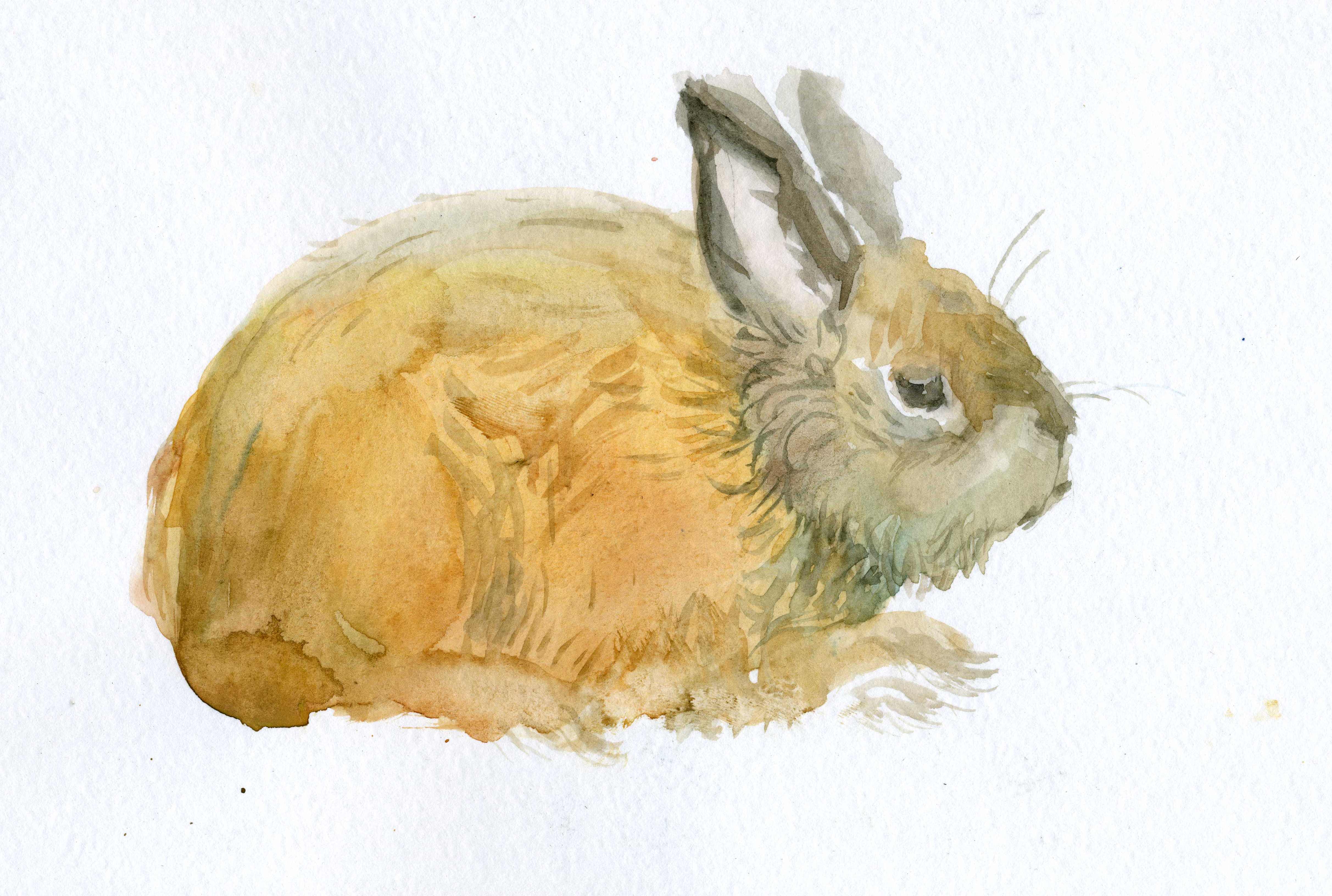 010   %d0%ba%d0%be%d0%bf%d0%b8%d1%8f