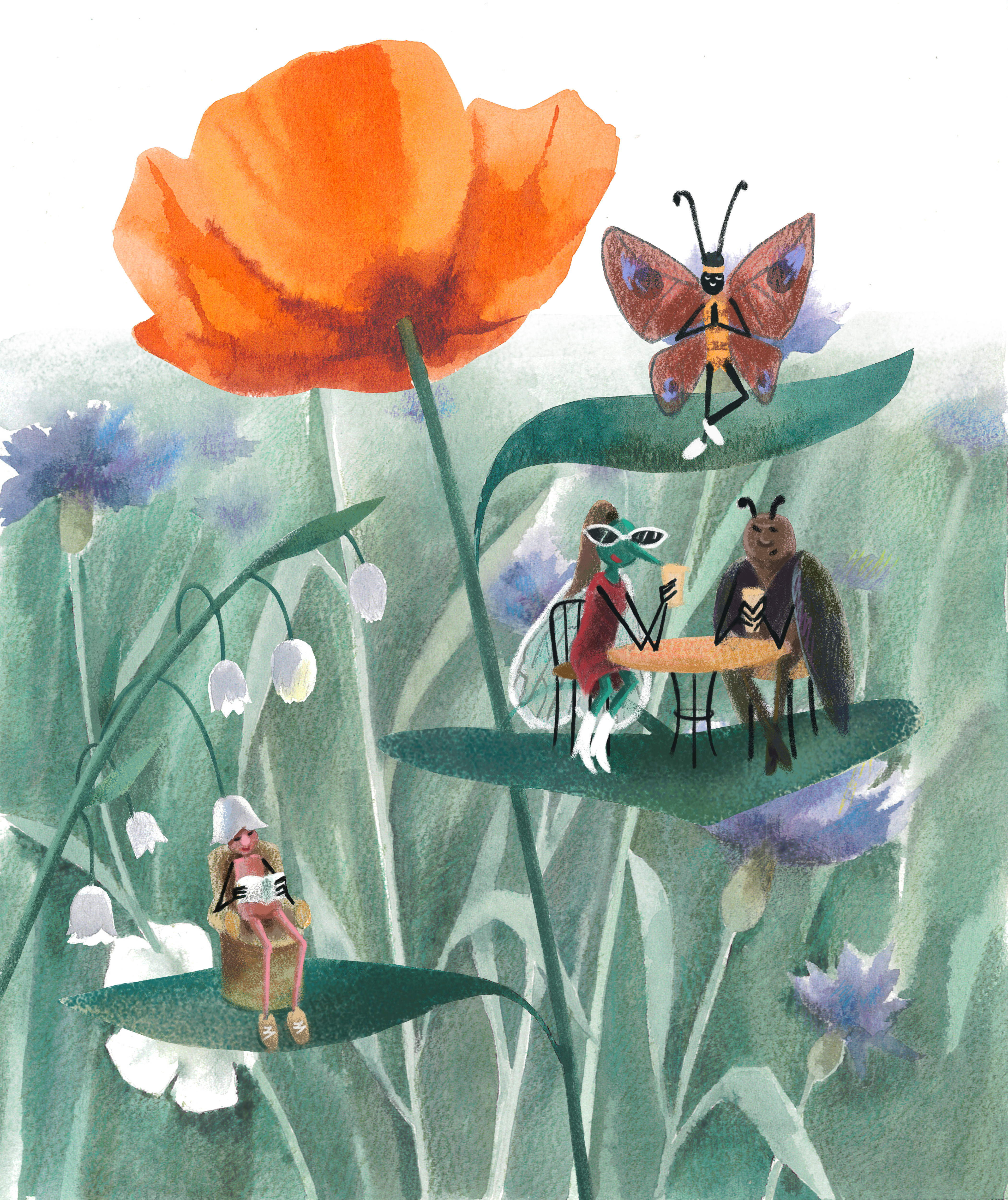 %d0%98%d0%bb%d0%bb%d1%8e%d1%81%d1%82 %d0%9c%d1%83%d1%88%d0%b0 1