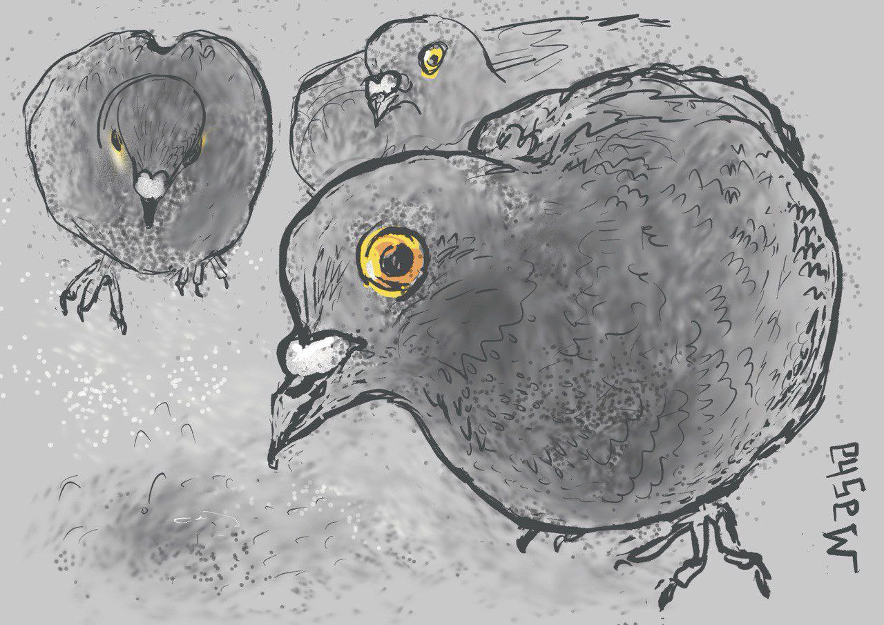 Img 20251011 220636 776