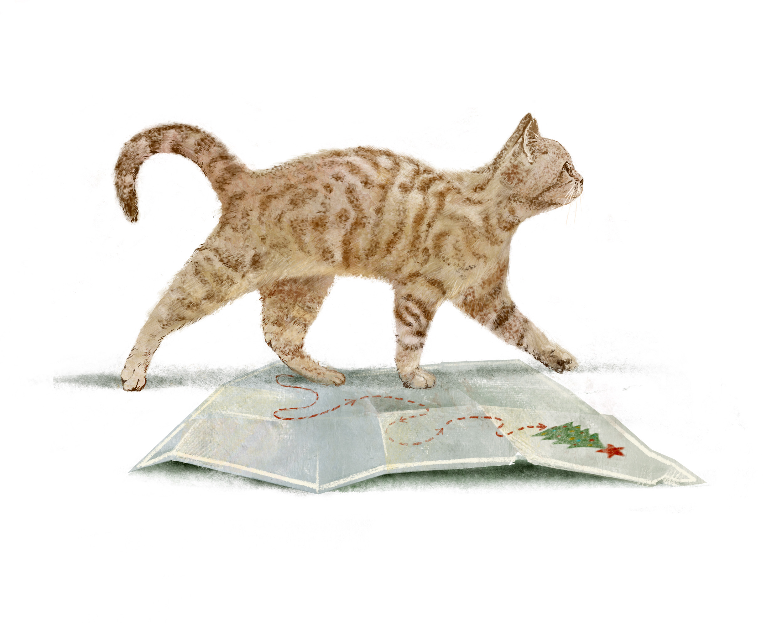 %d0%ba%d0%be%d1%82 %d0%b8 %d0%ba%d0%b0%d1%80%d1%82%d0%b0