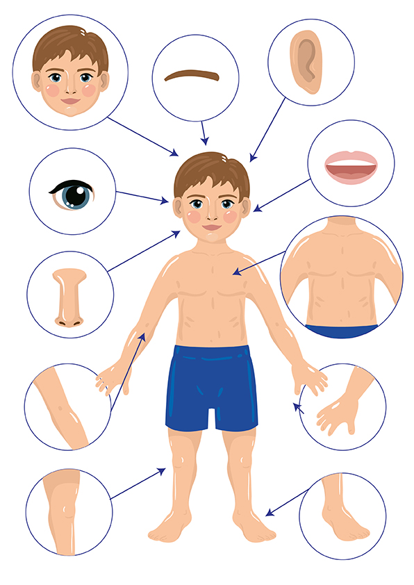 %d1%82%d0%b5%d0%bb%d0%be %d1%87%d0%b5%d0%bb%d0%be%d0%b2%d0%b5%d0%ba%d0%b0 %d0%be%d1%82%d1%80%d0%b8%d1%81%d0%be%d0%b2%d0%ba%d0%b0 01