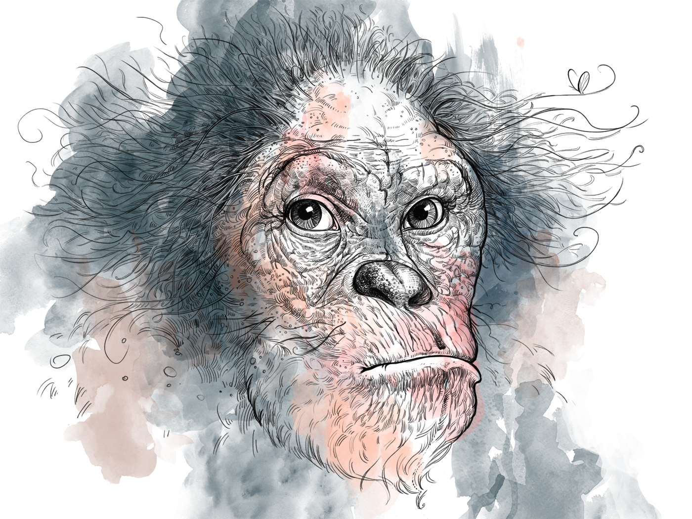 Funnyoldmonkey small