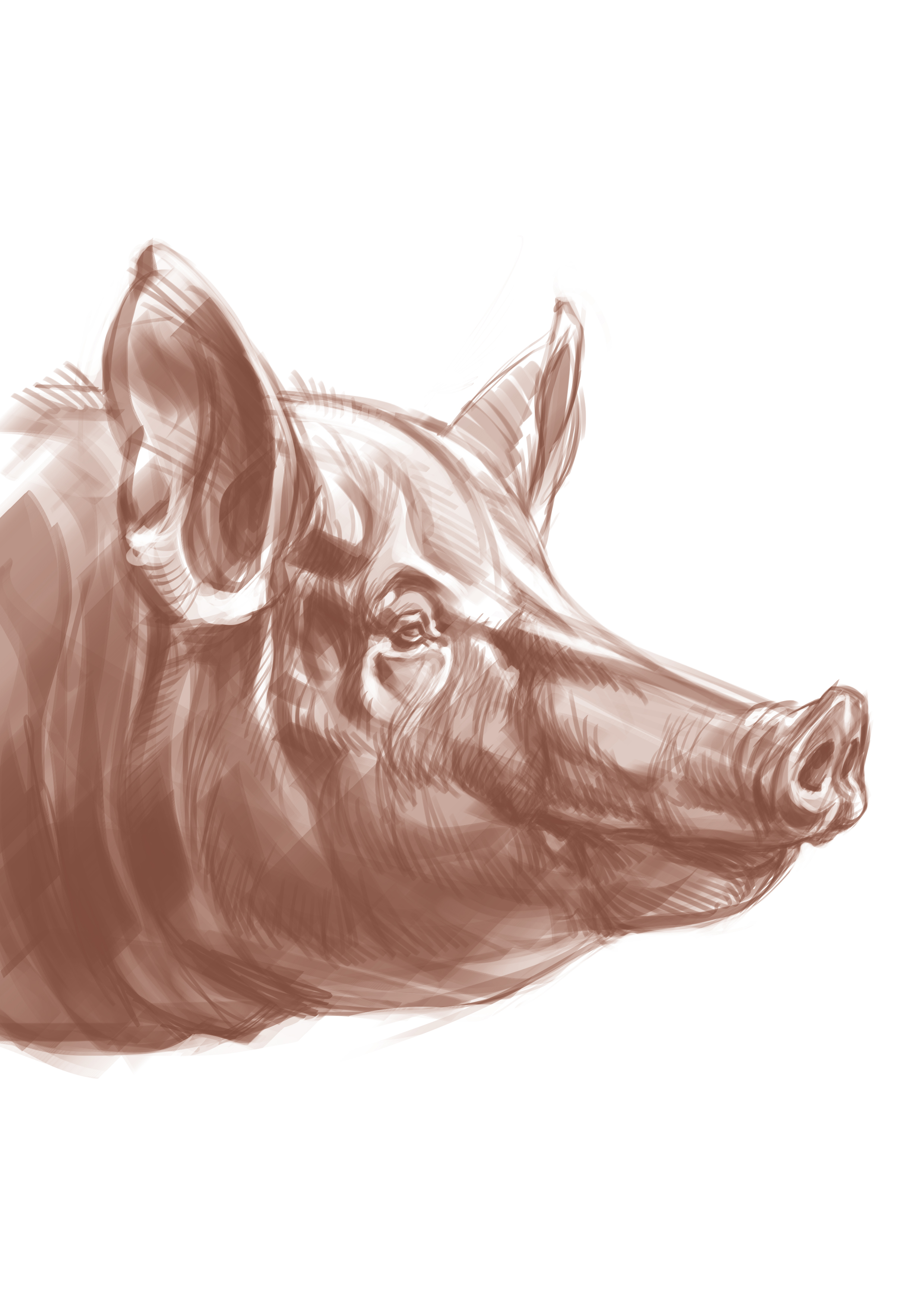 %d1%81%d0%b2%d0%b8%d0%bd