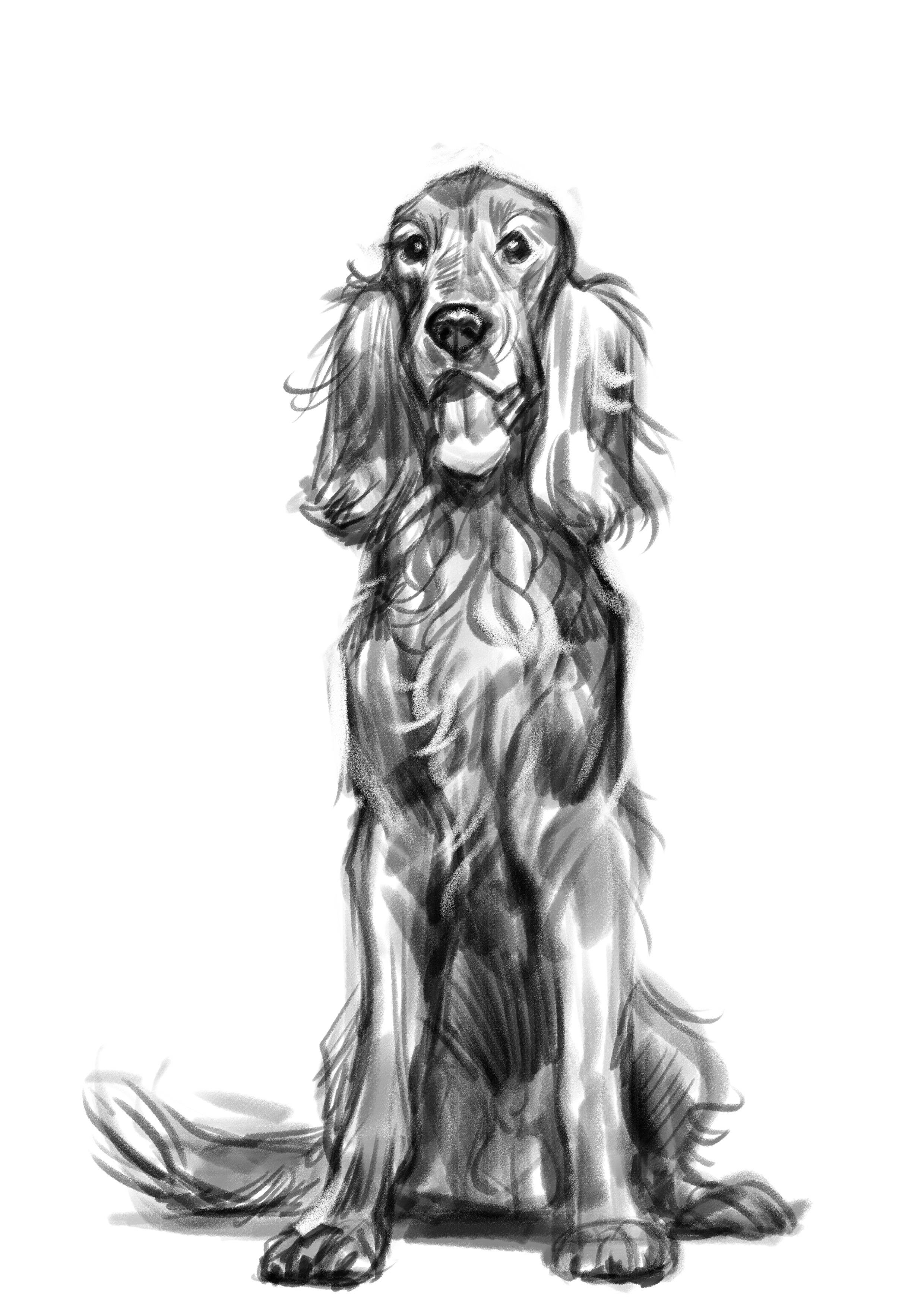 %d0%bd%d0%b0%d0%b1%d1%80%d0%be%d1%81%d0%ba%d0%b8 %d1%81%d0%be%d0%b1%d0%b0%d0%ba    %d0%98%d1%80%d0%bb%d0%b0%d0%bd%d0%b4%d1%81%d0%ba%d0%b8%d0%b9 %d1%81%d0%b5%d1%82%d1%82%d0%b5%d1%80