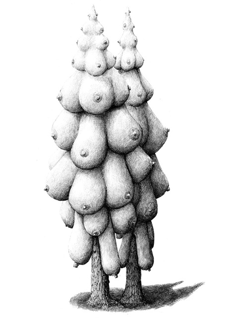 Redmerhoekstra 2017 2