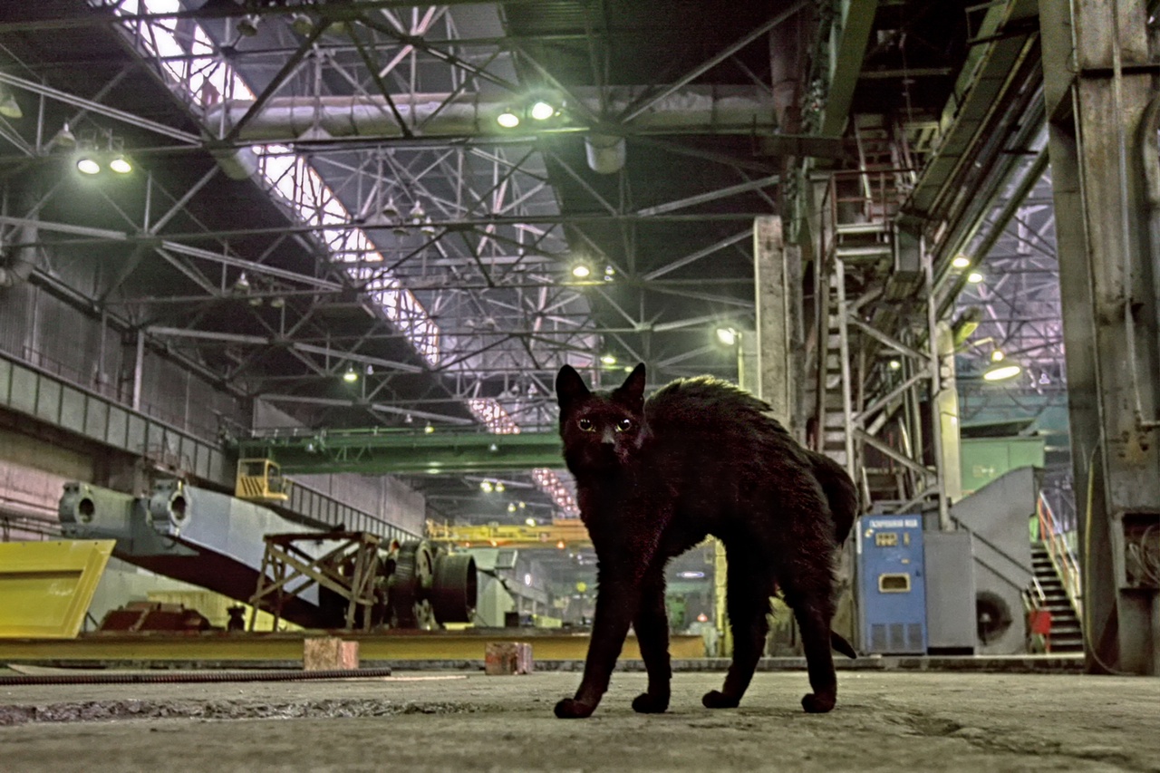 Stnzmknxkpr46e3uatqzq5xndevenpsrvvjvdwmuwso8224h66 cdhhci oj1xyjn3emucg0ocqtgdj9bfd hoi8