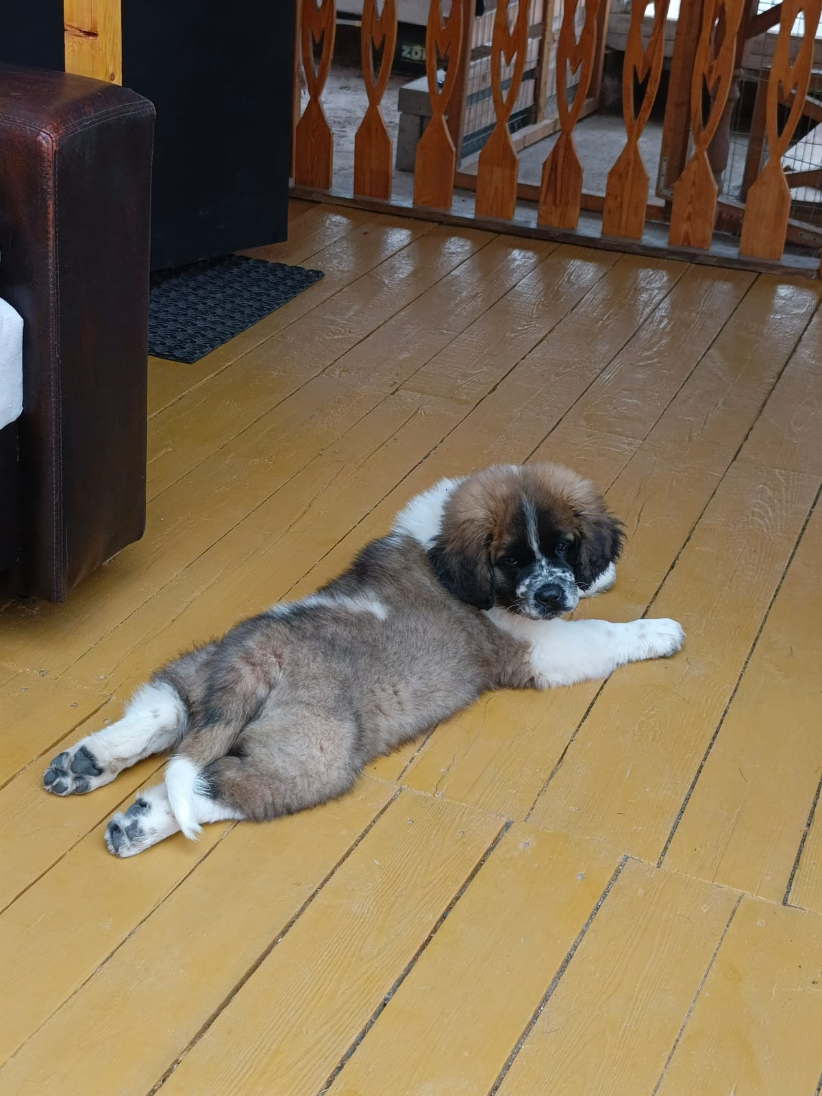 B1310a39 2c48 45b2 965a 334c4d1898c5