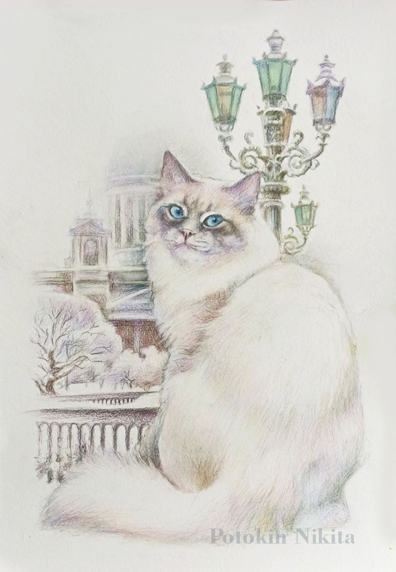 Vpgmy2lp0duusb2twe4pojdvkzc1tecjgc9mpndzemgc2krnrbva0 83sfeh19tl3ds06raceh6ecsrxxwbuh9dz