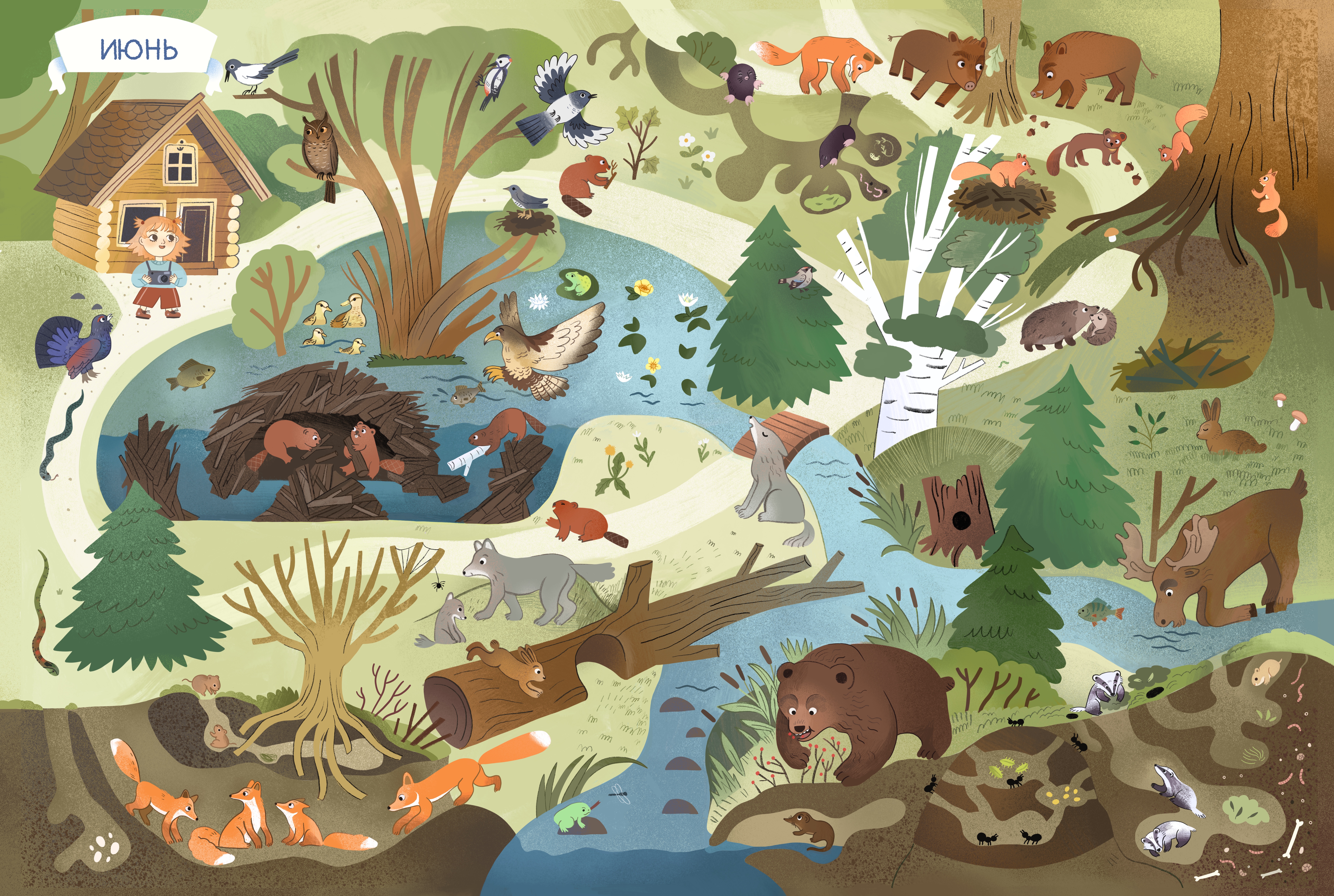 Katherine dot    forest june