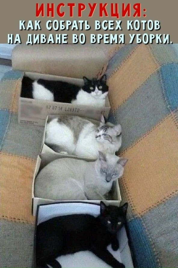 Enakat9bogdr 7zmwdurh04 8yddeztbdpwaxniwut lvftwt90e0xw39tbvn0iktkpqngnf9kr2ezc6rtf9hkie