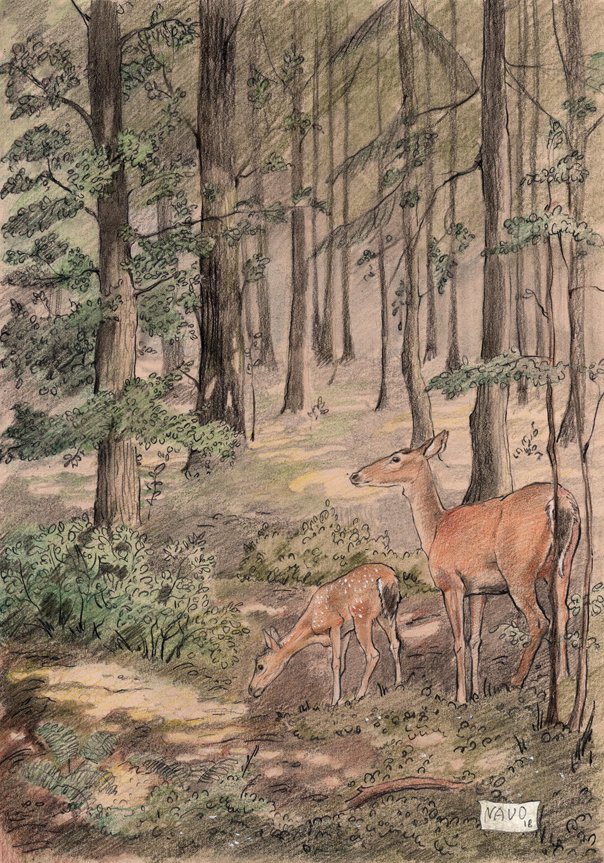 %d0%a1%d0%be%d0%bb%d0%bd%d0%b5%d1%87%d0%bd%d1%8b%d0%b9 %d0%b4%d0%b5%d0%bd%d0%b5%d0%ba2