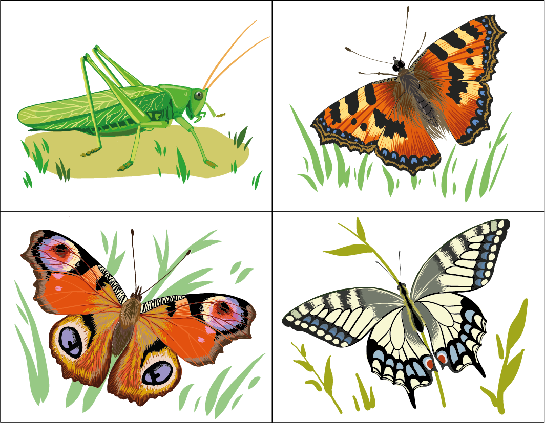 %d0%9d%d0%b0%d0%b9%d0%b4%d0%b8 %d0%bb%d0%b8%d1%88%d0%bd%d0%b5%d0%b5 %d0%b4%d0%bb%d1%8f %d0%ae%d0%bd%d0%b8%d1%82%d0%be%d0%b9%d1%81 5