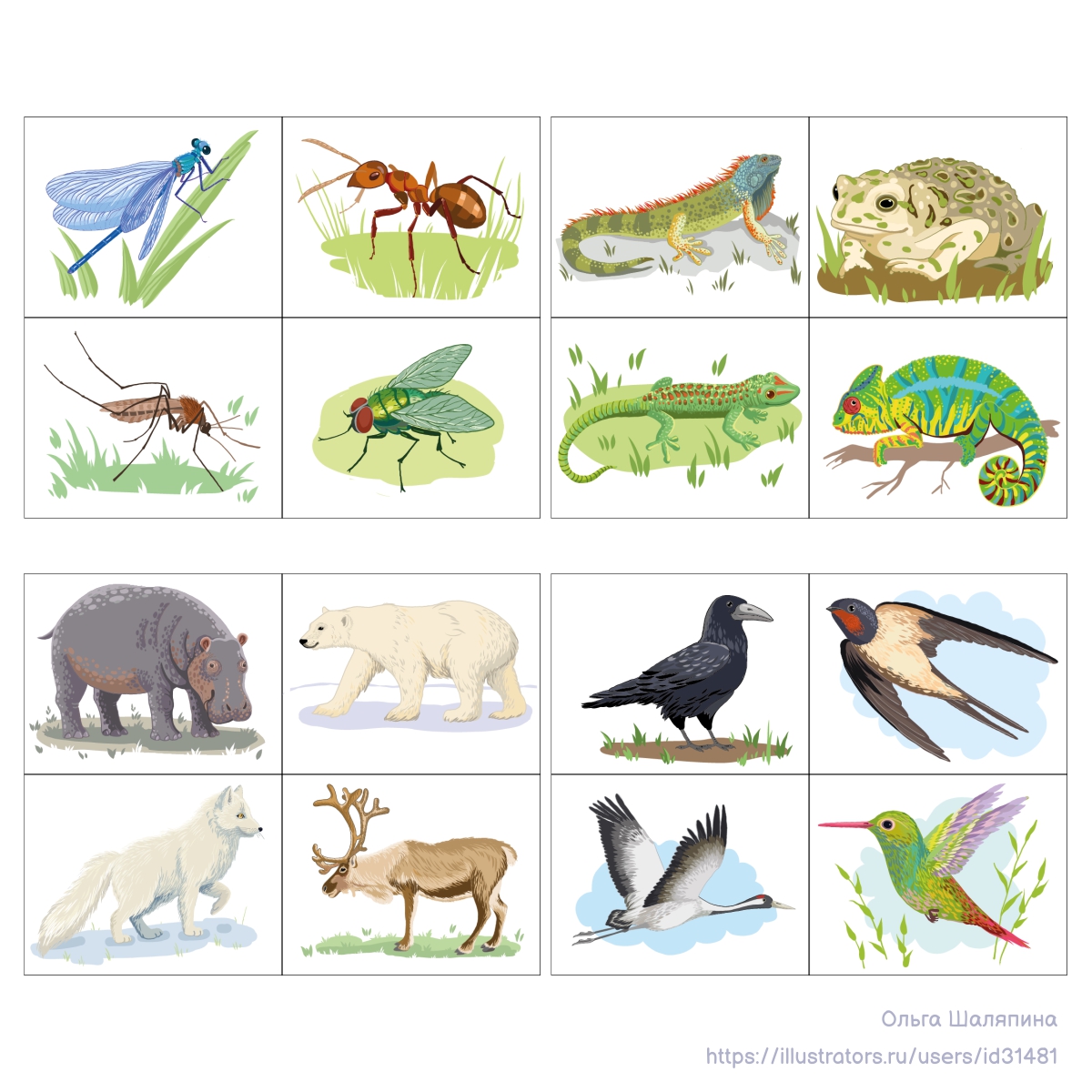 15 %d0%b7%d0%b2%d0%b5%d1%80%d1%81%d0%ba%d0%b0%d1%8f %d0%b2%d0%b8%d0%ba%d1%82%d0%be%d1%80%d0%b8%d0%bd%d0%b0 2023