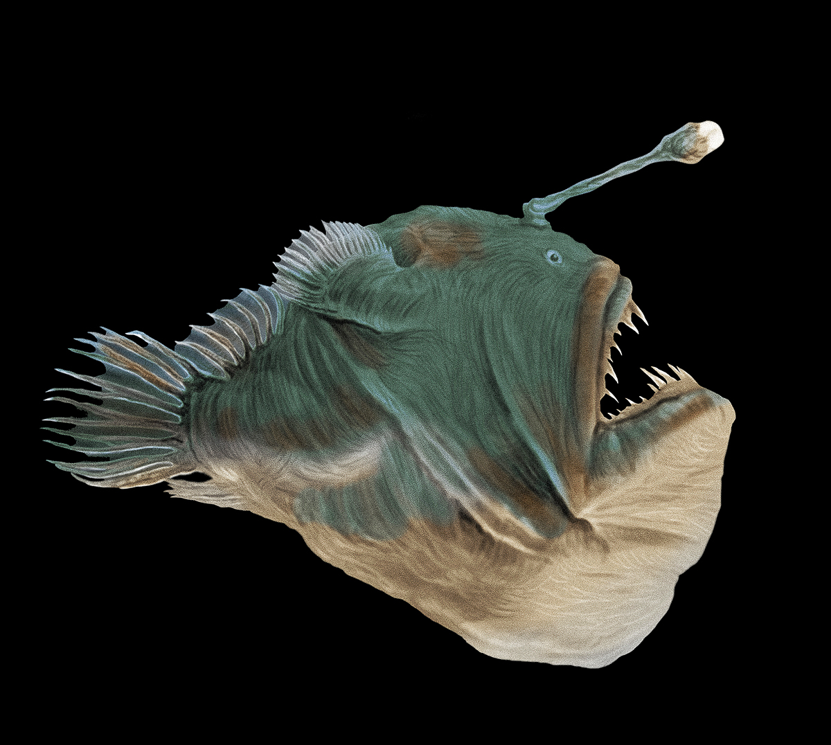 %d0%9c%d0%be%d1%80%d1%81%d0%ba%d0%be%d0%b8%cc%86 %d0%a7%d0%b5%cc%88%d1%80%d1%82