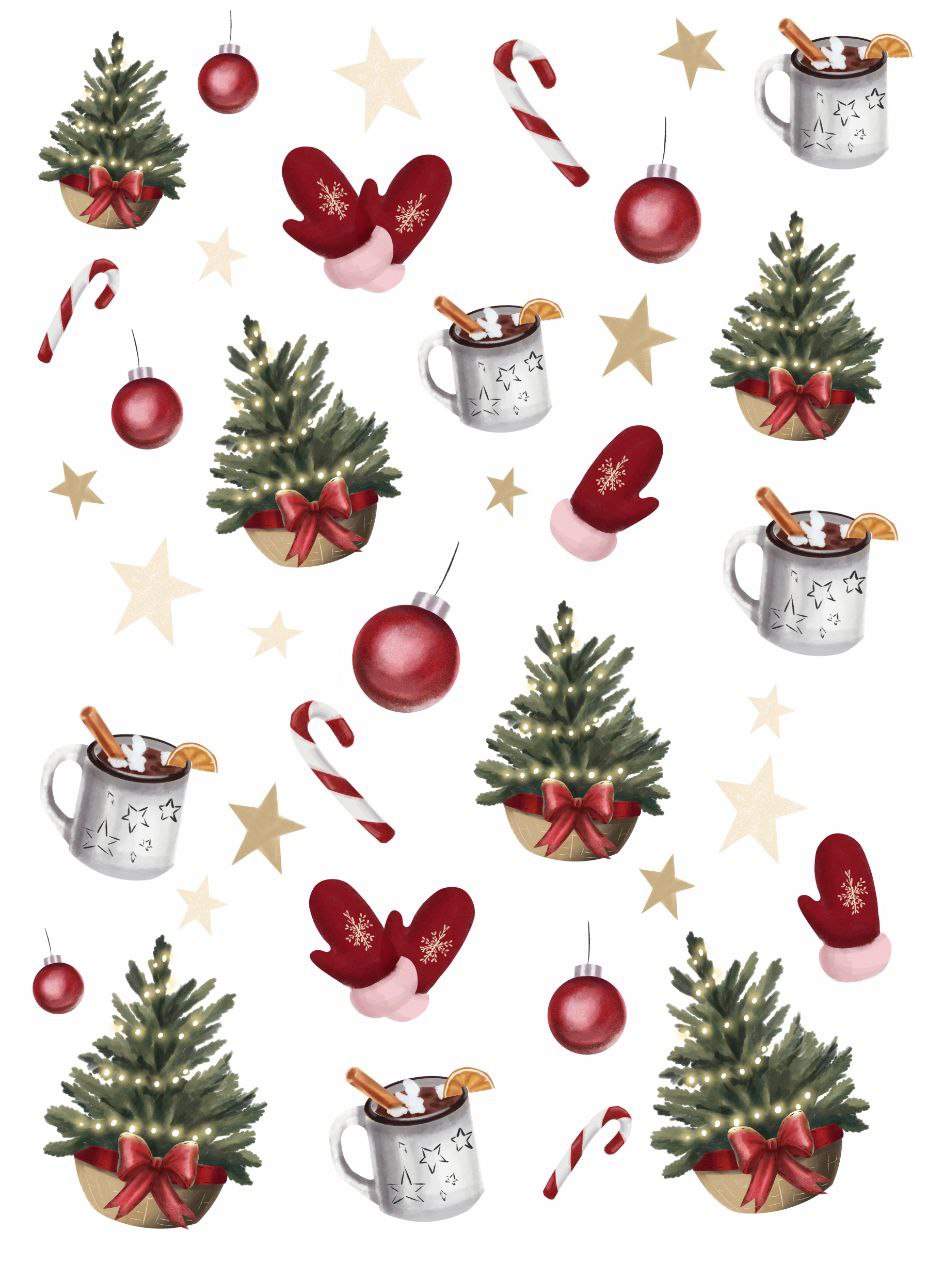 Img 20251206 144252 187