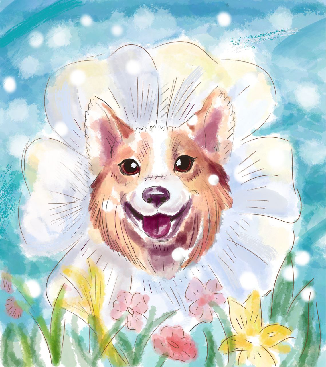 Img 20251206 145601 433