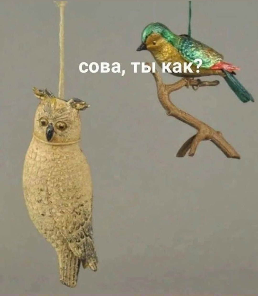 Knev4l7gijapjc21s29gz0hvapgybyzhvdk1kwomi9af6ltfexmj4z45jvbfakhh7lbkogafyaf2 bq8vjx5aapb