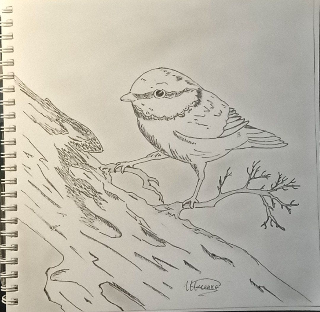 Img 20260110 142702 169