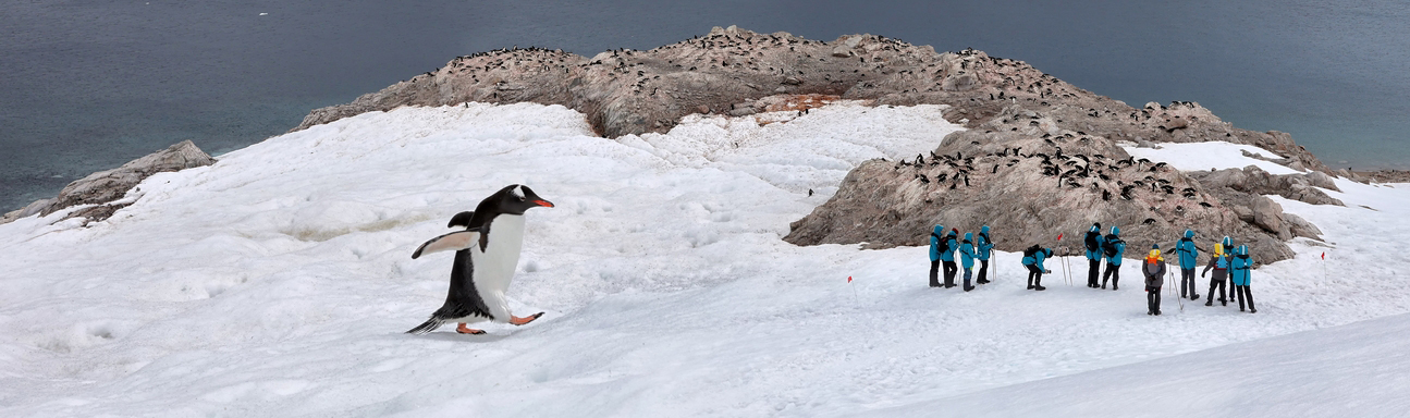 08 %d0%ba%d0%be%d0%bf%d0%b8%d1%8f