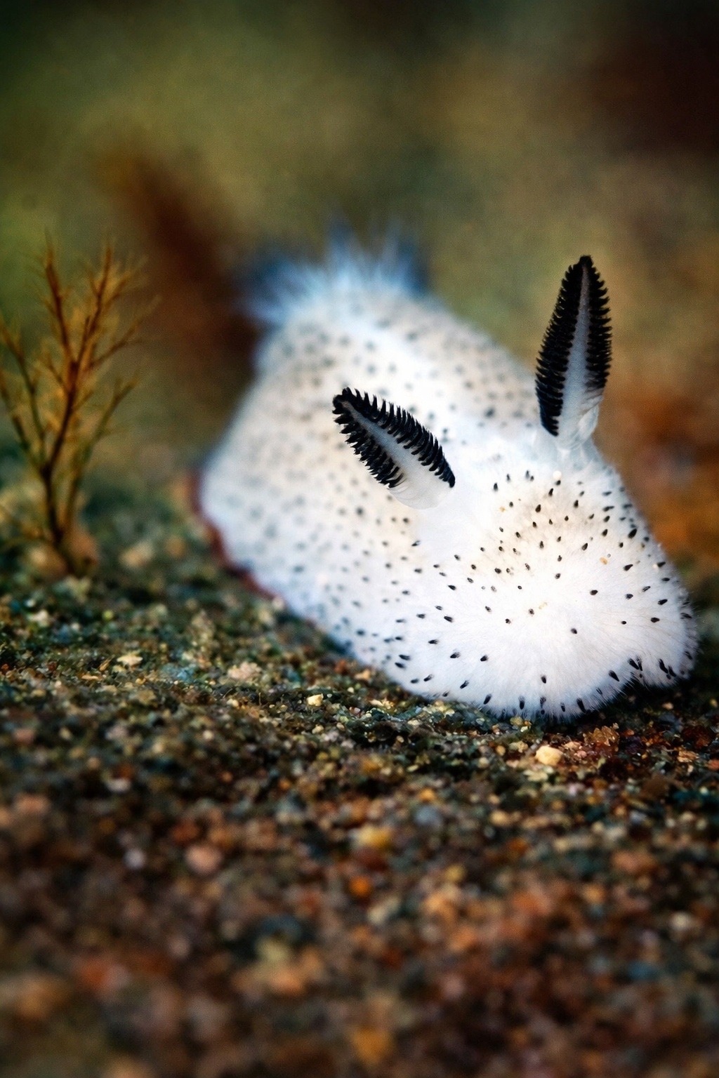 Fa7qahxnrxob0oz 0oi4pgsirlmb3vdeh4uvzficpzfuo0yqdnhmis1edyq0sxhk9jvopihgbegzmhkr3awhqopt