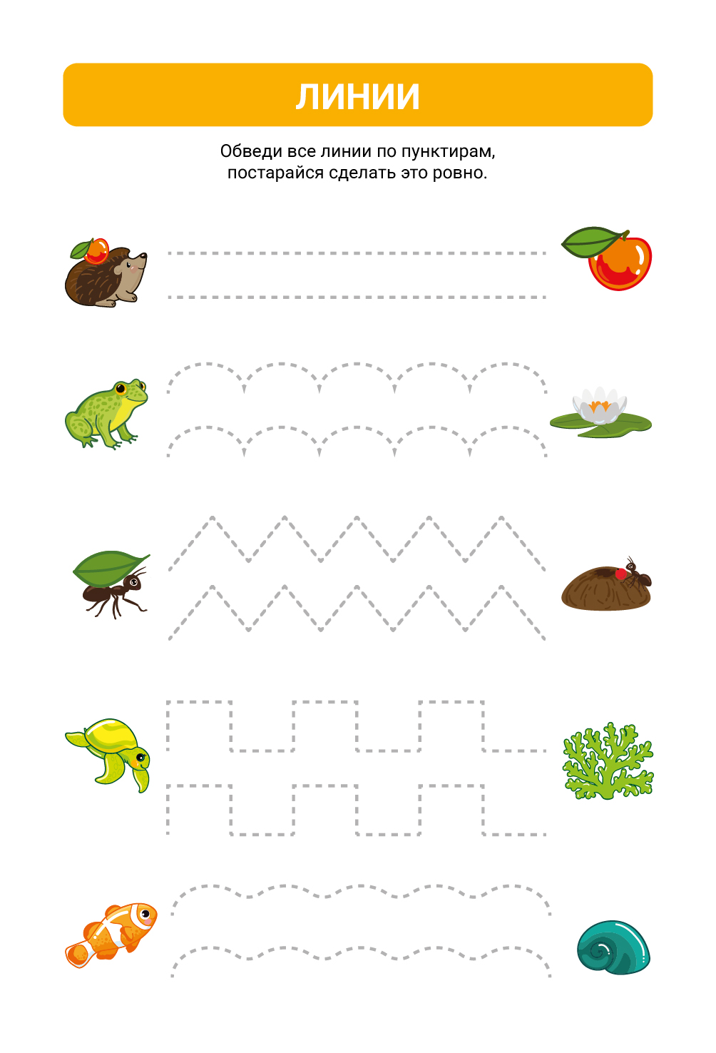 16 %d0%bb%d0%b8%d0%bd%d0%b8%d0%b8 %d0%9c%d0%be%d0%bd%d1%82%d0%b0%d0%b6%d0%bd%d0%b0%d1%8f %d0%be%d0%b1%d0%bb%d0%b0%d1%81%d1%82%d1%8c 1