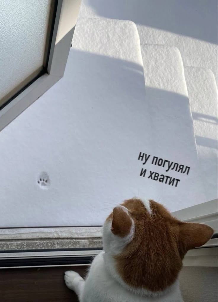 Jvaxccrvrj8a2ysd2djale yacmws6vuooguvp819l3xxufpzbv8x mnzytxao9qzcnt 7yugunuyzrtsswmlfht