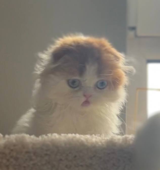 %d0%9d%d0%b8%d0%ba%d1%81%d1%83%d1%81 %d0%bd%d0%b0%d1%82%d1%83%d1%80%d0%b0 4