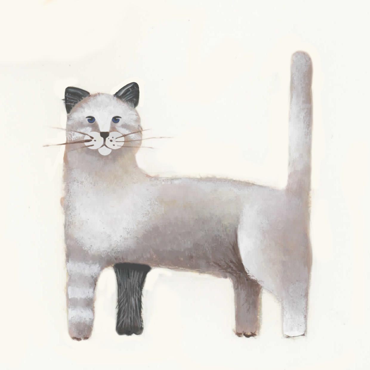 %d0%ba%d0%be%d1%88%d0%ba%d0%b0 %d1%87%d0%b5%d1%80%d0%b0%d1%8f %d0%bd%d0%be%d0%b6%d0%ba%d0%b0