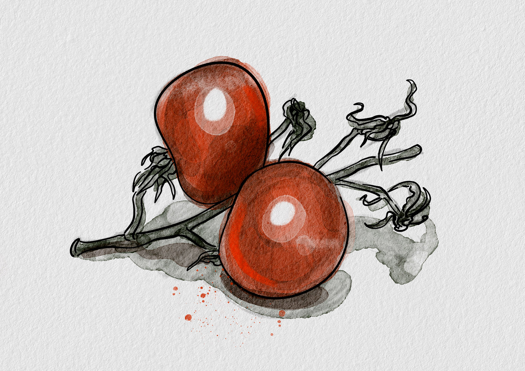 %d0%a7%d0%b5%d1%80%d1%80%d0%b8