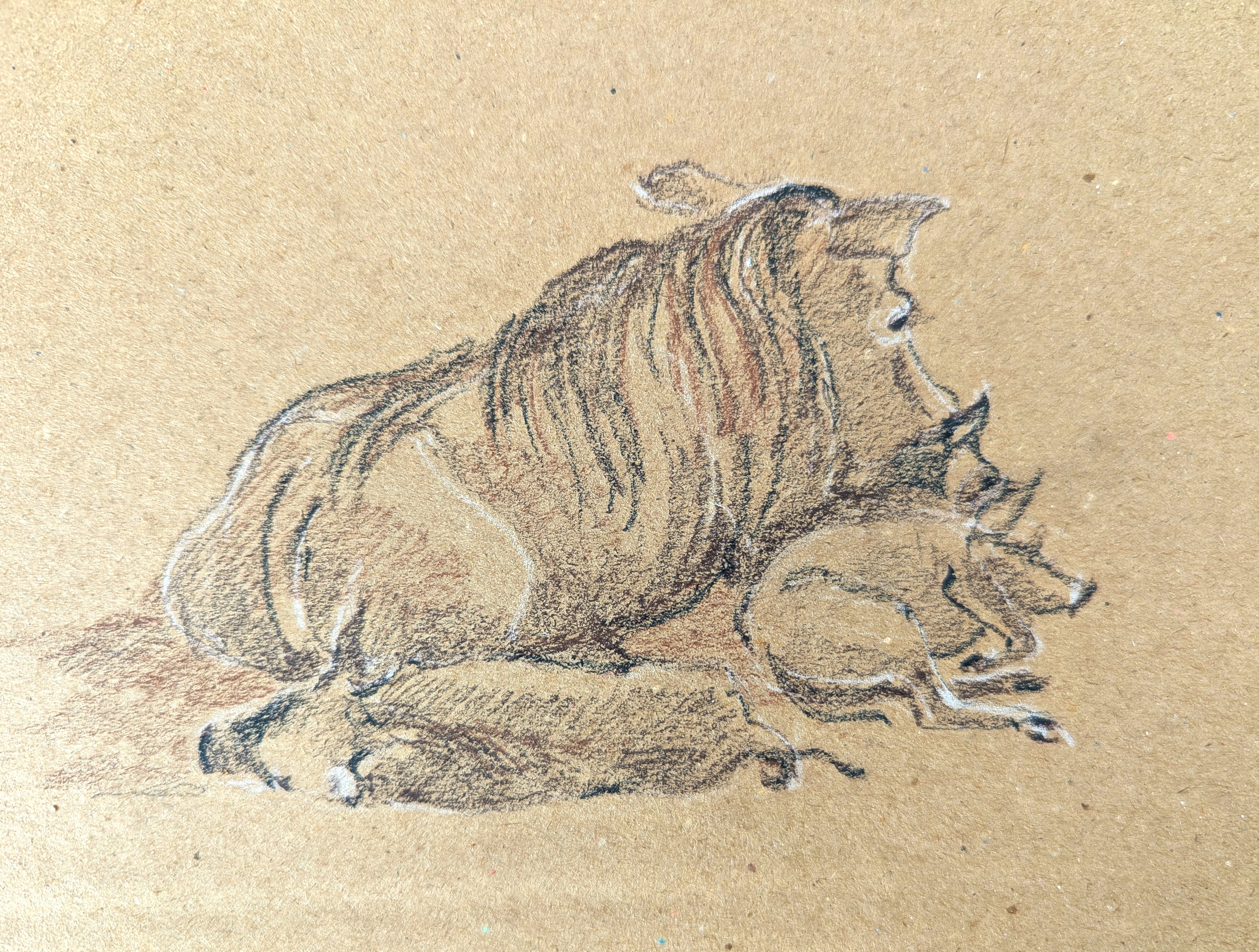 Pxl 20260219 142358845.mp