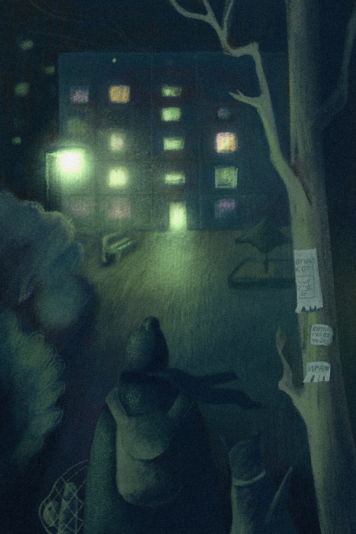 Img 20260220 000656 288