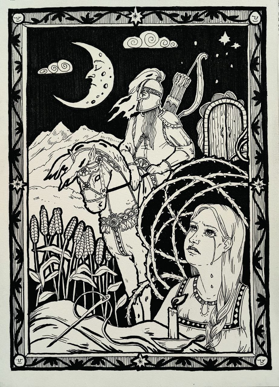 Img 20260219 223250 446