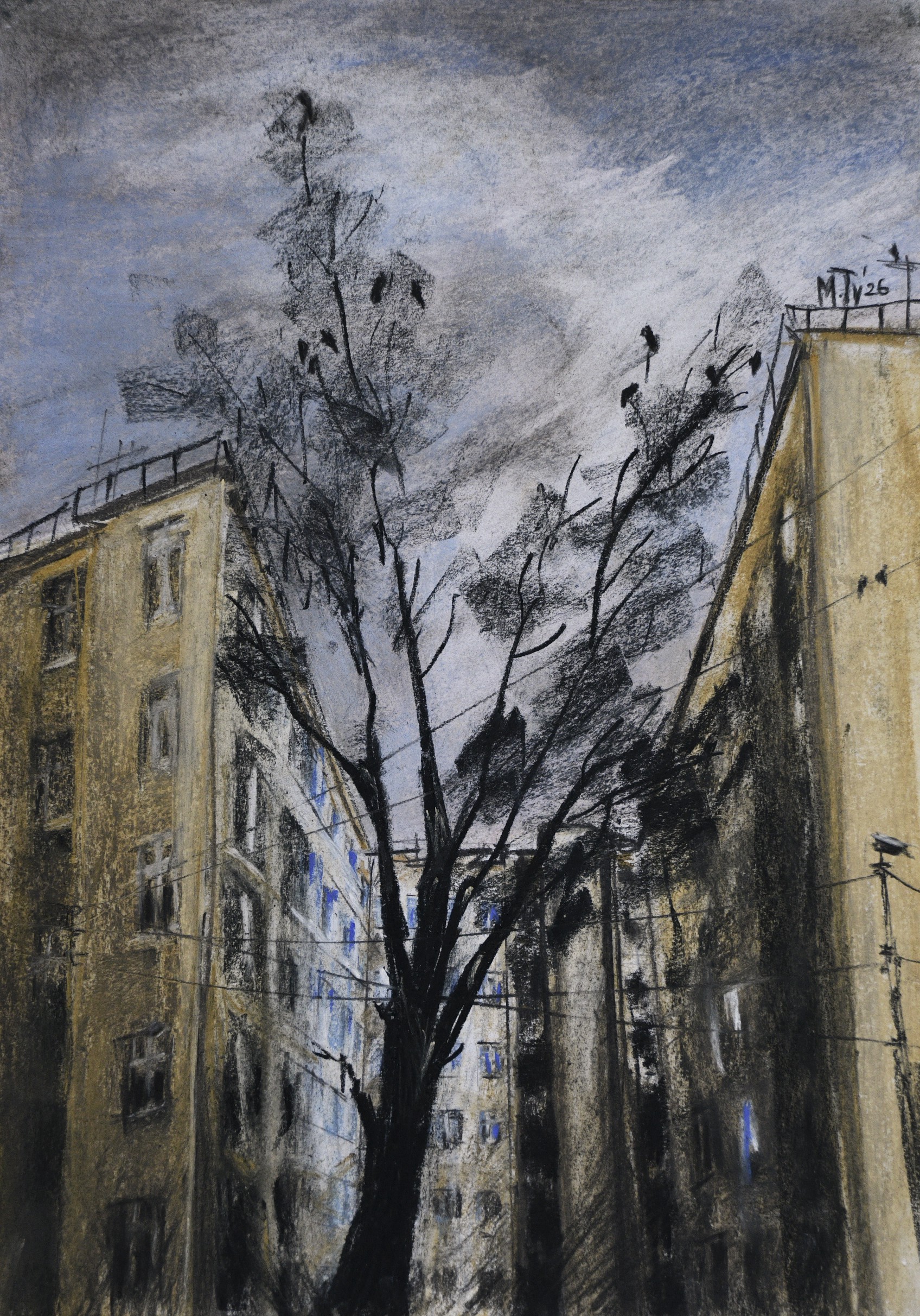 %d0%9c%d0%930055 %d0%9f%d0%be%d0%b4 %d1%80%d0%b5%d0%bd%d0%be%d0%b2%d0%b0%d1%86%d0%b8%d1%8e %d0%bf%d0%b0%d1%81%d1%82%d0%b5%d0%bb%d1%8c 2026