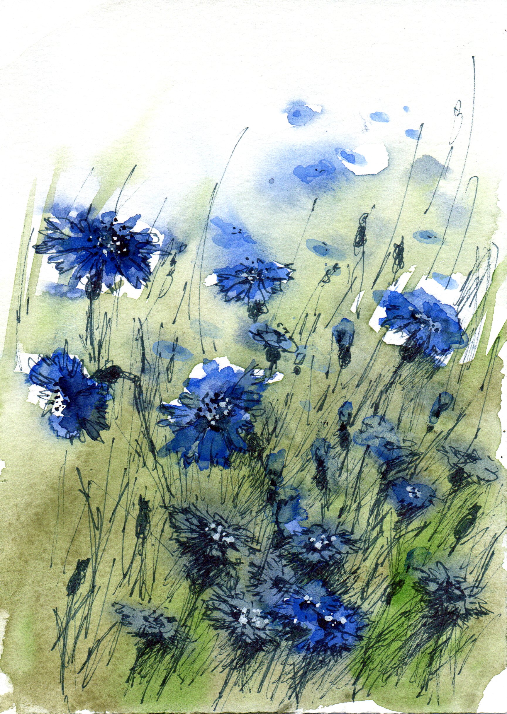 %d0%980048 %d0%92%d0%b0%d1%81%d0%b8%d0%bb%d1%8c%d0%ba%d0%b8 %d0%b0%d0%ba%d0%b2%d0%b0%d1%80%d0%b5%d0%bb%d1%8c  %d0%bb%d0%b8%d0%bd%d0%b5%d1%80 2025