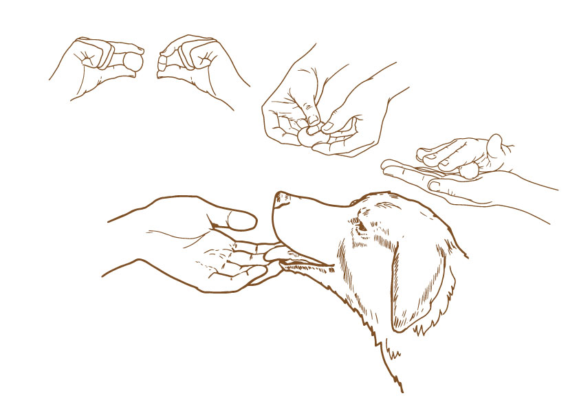 %d1%81%d1%85%d0%b5%d0%bc%d0%b0