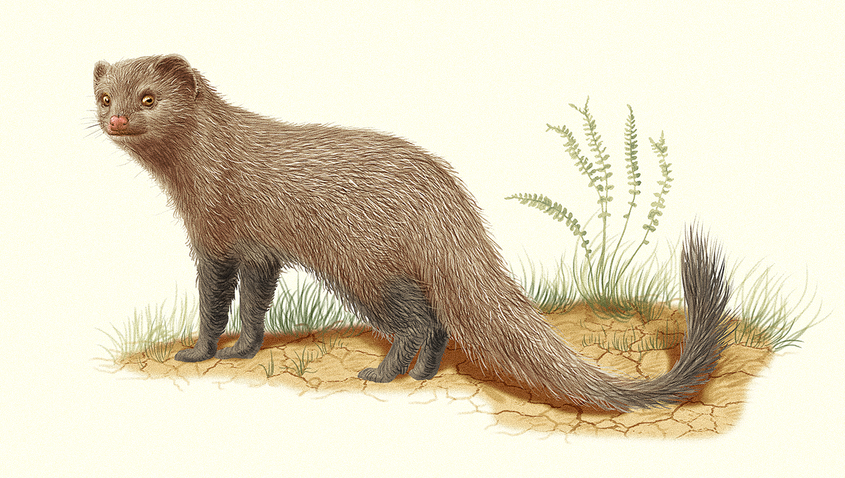 %d0%9c%d0%b0%d0%bd%d0%b3%d1%83%d1%81%d1%82 %d0%94%d0%b0%d1%80%d1%80%d0%b5%d0%bb%d0%b0