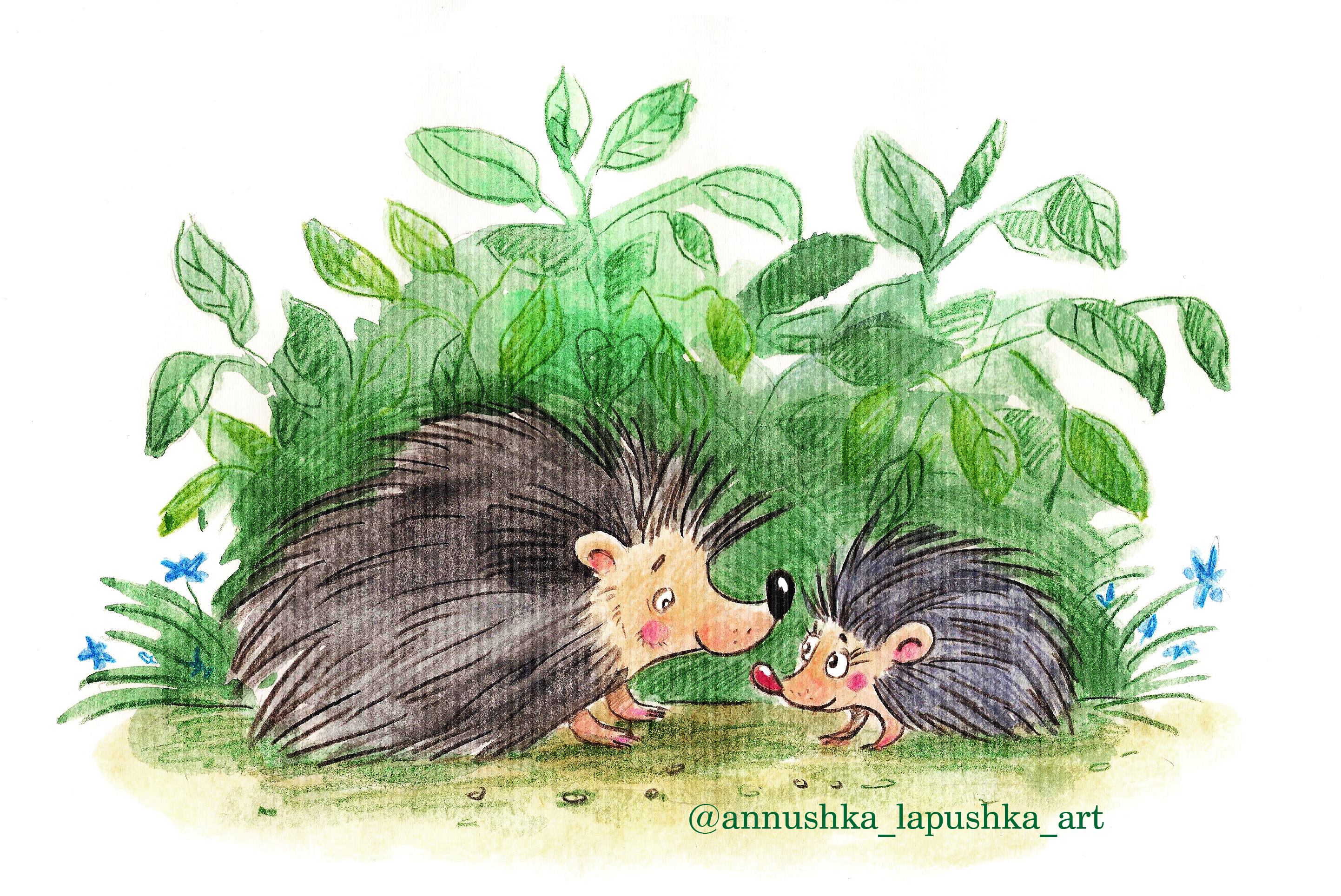 %d0%b5%d0%b6%d0%b8%d0%ba%d0%b8 %d0%ba%d0%be%d0%bf%d0%b8%d1%8f