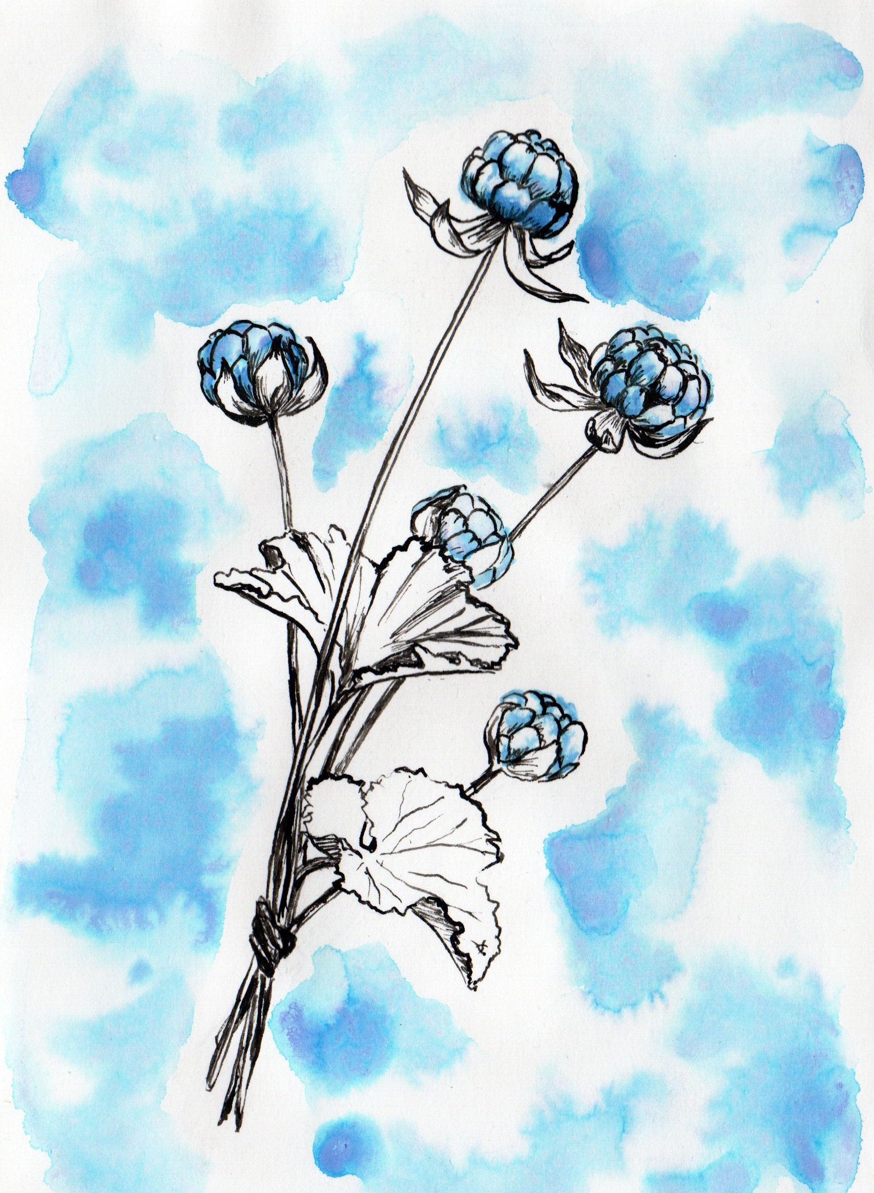 Img20240823 13241965