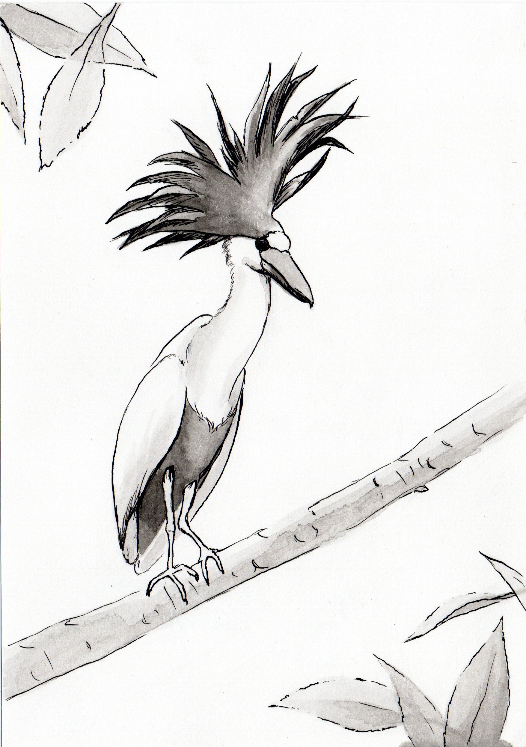 Img20240823 13185053