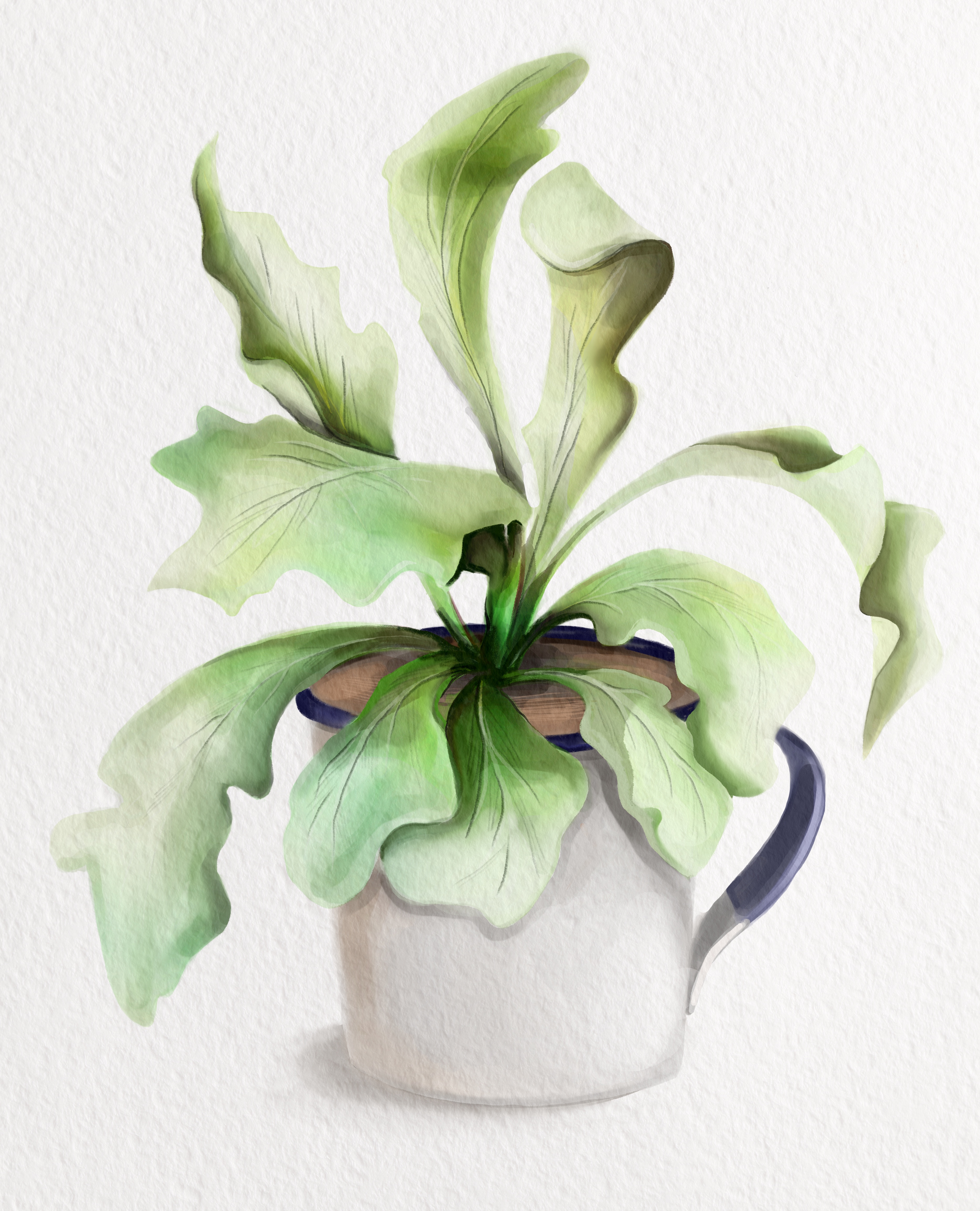 %d0%a6%d0%b2%d0%b5%d1%82%d0%be%d0%ba %d0%b2 %d0%b0%d0%ba%d0%b2%d0%b0%d1%80%d0%b5%d0%bb%d0%b8